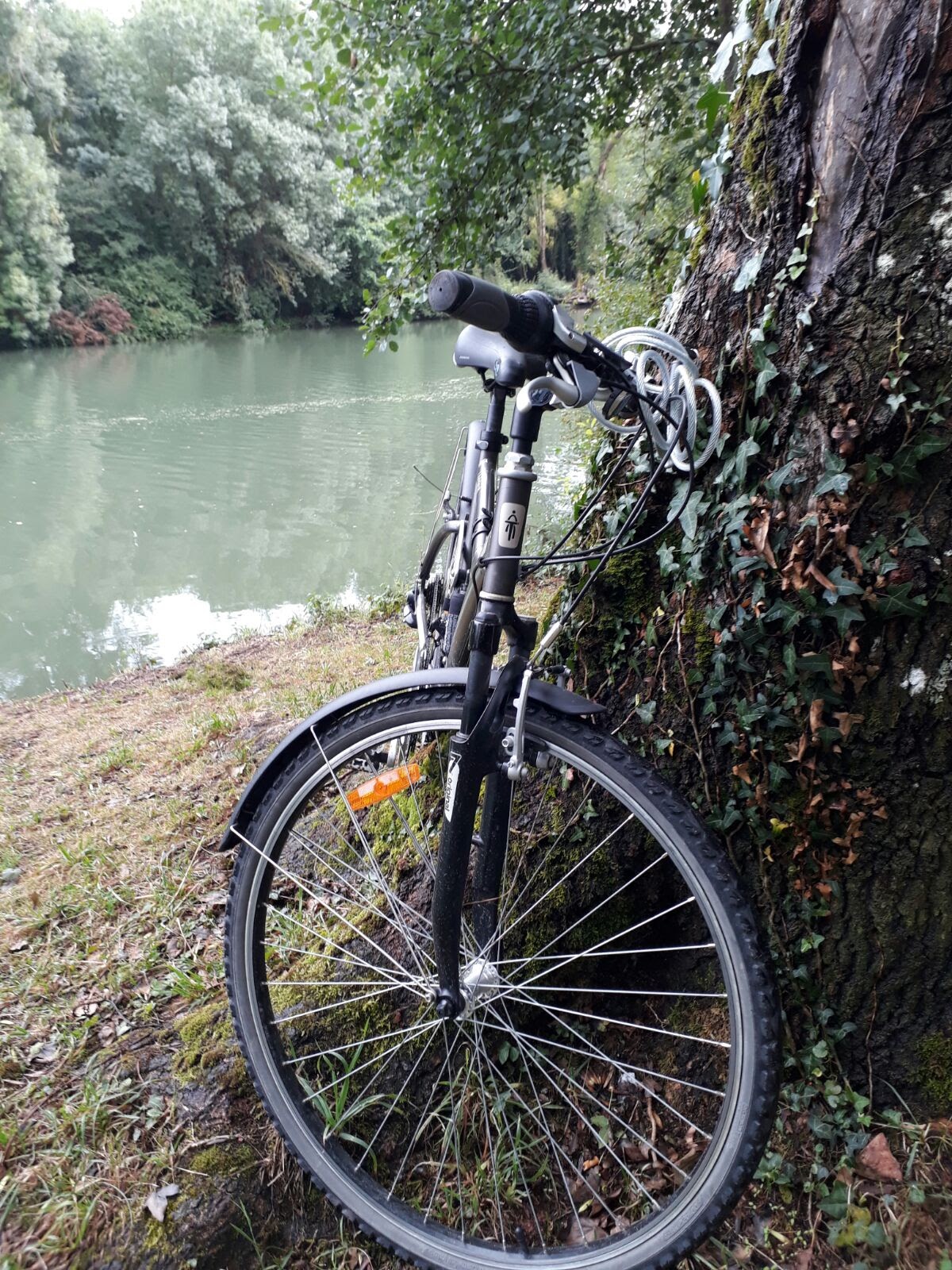 En bici hasta el río